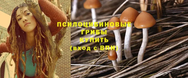 Галлюциногенные грибы Psilocybine cubensis  даркнет сайт  Сим 